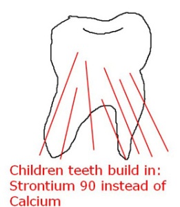 Стронций-90 вместо кальция в зубах